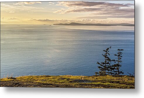 Golden Hour Metal Print featuring the photograph I Climbed To The Horizon by Tony Locke