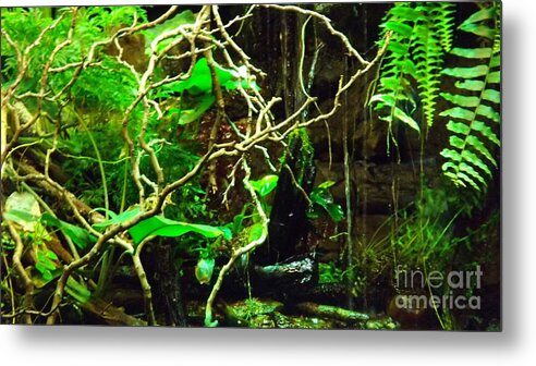 Jungle Metal Print featuring the photograph In the Jungle by Brigitte Emme
