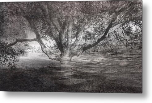 Tree Metal Print featuring the photograph In your arms by Suzy Norris