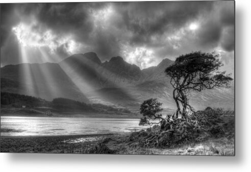 Scottish Landscapes Metal Print featuring the photograph Lonely tree. Landscape of the Scottish Highlands in Scotland by Michalakis Ppalis
