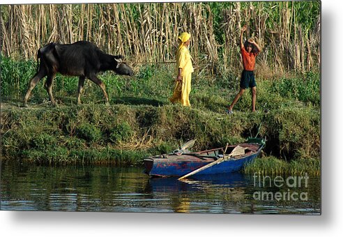 Life Metal Print featuring the photograph Life Along the Nile 3 by Vivian Christopher