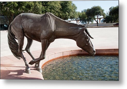 Sculptures Metal Print featuring the photograph Los Colinas Mustangs 14687 by Guy Whiteley