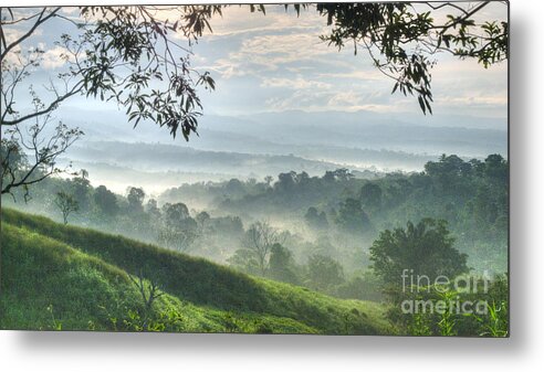 Landscape Metal Print featuring the photograph Morning Mist by Heiko Koehrer-Wagner