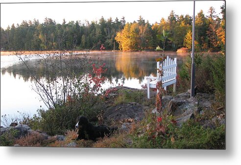Photography Metal Print featuring the photograph Morning Serenity by Lynne McQueen