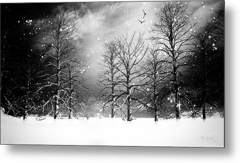 Winter Metal Print featuring the photograph One Night In November by Bob Orsillo