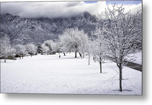 Winter Metal Print featuring the photograph Rare Snowfall by Susan Warren