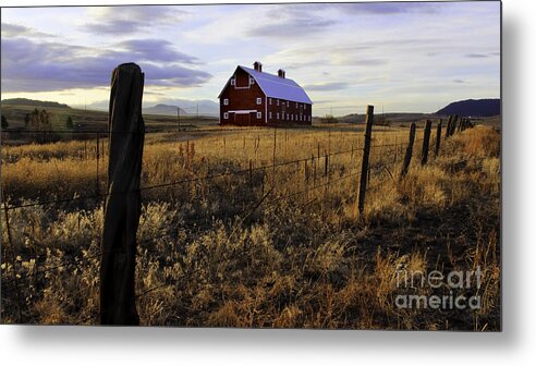 Red Barn Metal Print featuring the photograph Red Barn in the Golden Field by Kristal Kraft