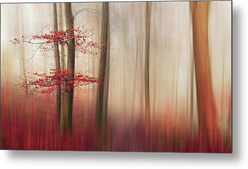 Autumn Metal Print featuring the photograph Red Leaves. by Leif L?ndal