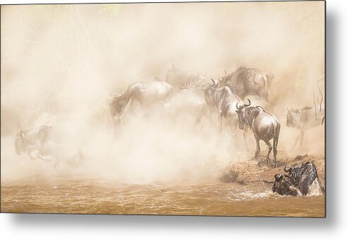 Africa Metal Print featuring the photograph River Crossing by Eunice Kim