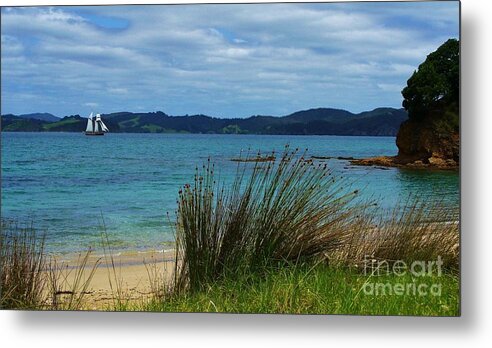 Bay Of Islands Metal Print featuring the photograph Bay of Islands #1 by Michele Penner