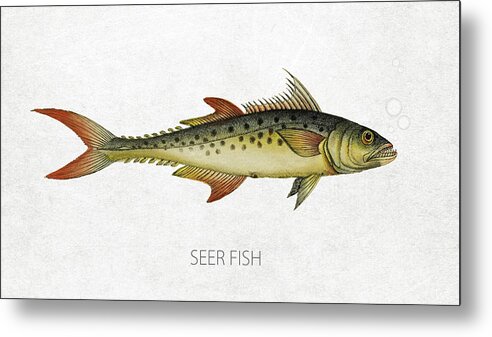 Seer Fish Metal Print featuring the digital art Seer Fish by Aged Pixel