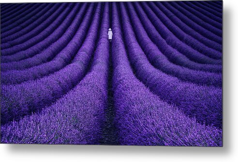 Purple Metal Print featuring the photograph She by Lluis De Haro