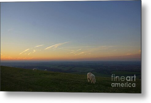 Skyline Metal Print featuring the digital art Sheep On The Gibbit by Andrew Middleton