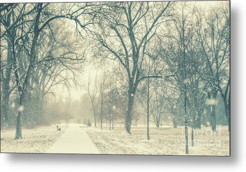 Snow Metal Print featuring the photograph Snow Day by Pam Holdsworth