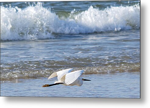 Wildlife Metal Print featuring the photograph Snowy Egret and Waves by Kenneth Albin