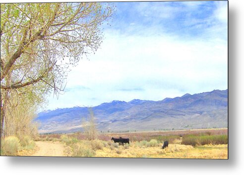 Sky Metal Print featuring the photograph Spring in Owens Valley by Marilyn Diaz