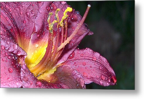 Spring Metal Print featuring the photograph Spring Showers by Bertie Edwards