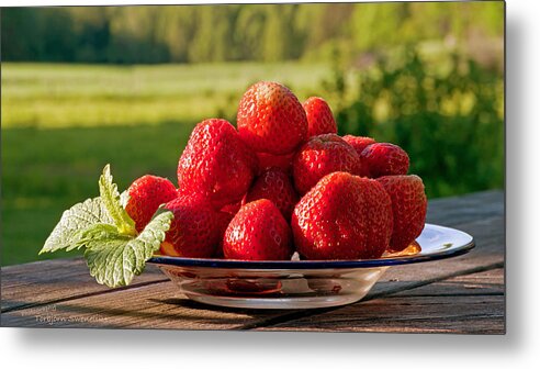 Strawberry Metal Print featuring the photograph Strawberry fields by Torbjorn Swenelius