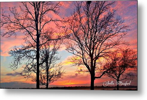 Sunset Metal Print featuring the photograph Sunset Shadow by Joetta Beauford