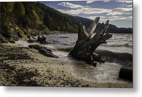 Sunset Metal Print featuring the photograph Teddy Bear Cove by Blanca Braun