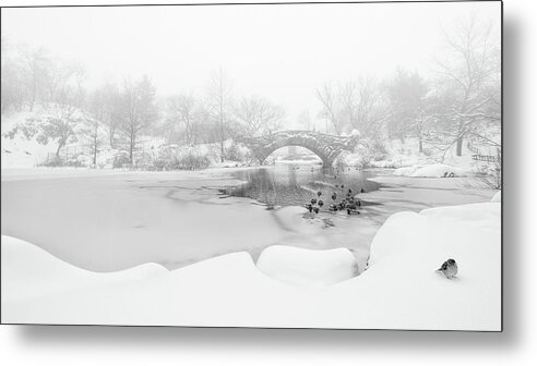 Nyc Metal Print featuring the photograph The First Snow Of Central Park by Menghuailin