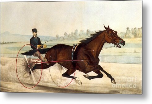 The King Of The Turf Metal Print featuring the painting The King of the Turf by Currier And Ives