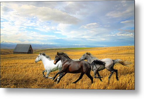White Horses Metal Print featuring the photograph The Race by Steve McKinzie