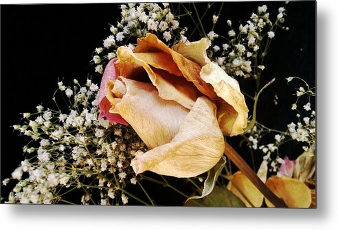 Rose Metal Print featuring the photograph Tightly Wrapped Petals by Tanya Jacobson-Smith