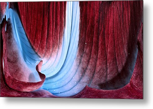 Velvet Metal Print featuring the photograph Velvet Cave by Russell Brown