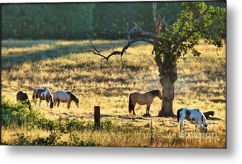 Landscape Metal Print featuring the photograph Waking Up To Summer by Julia Hassett