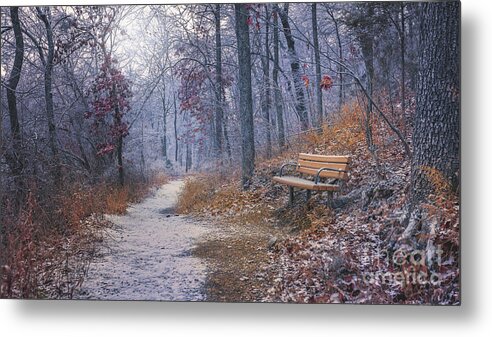 Park Metal Print featuring the photograph Walk in the park by Tim Wemple