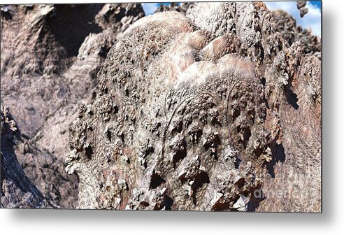 Fractal Metal Print featuring the digital art When the Trees Have Gone by Jon Munson II