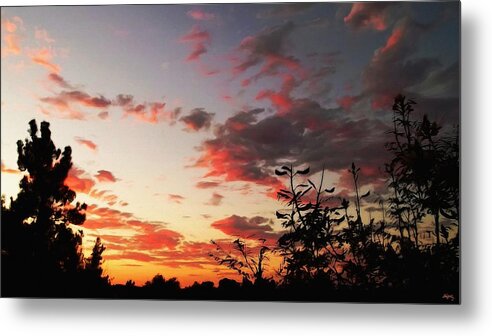 Skyscape Metal Print featuring the photograph Whisper Of Evening by Glenn McCarthy Art and Photography