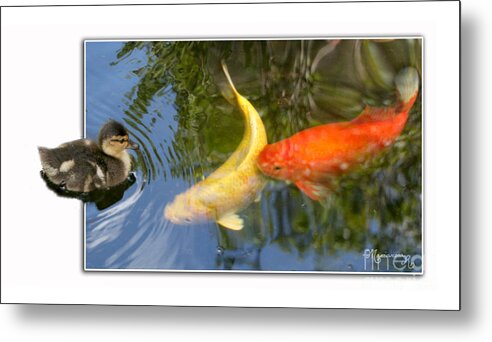 Duck Metal Print featuring the photograph Who are you? by Mariarosa Rockefeller