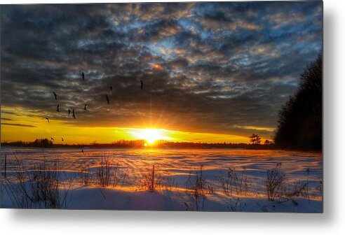 Wind Metal Print featuring the photograph Wind Blown Sunset by Brook Burling
