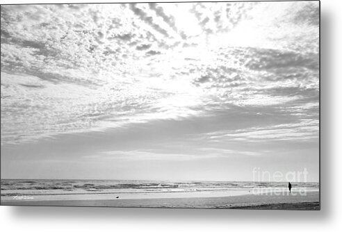 Winter Afternoon St Augustine Anastasia Island Florida Metal Print featuring the photograph Winter Afternoon St Augustine Anastasia Island Florida by Michelle Constantine