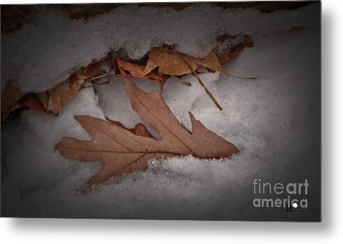 Log Metal Print featuring the photograph Winter Leaves on Log by Grace Grogan