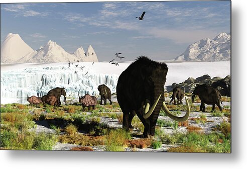 Prehistoric Era Metal Print featuring the digital art Woolly Mammoths And Woolly Rhinos In A by Arthur Dorety/stocktrek Images