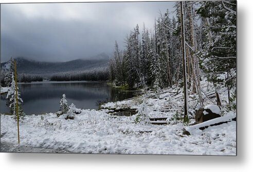 Landscape Metal Print featuring the photograph Yellowstone winter by Diane Mitchell