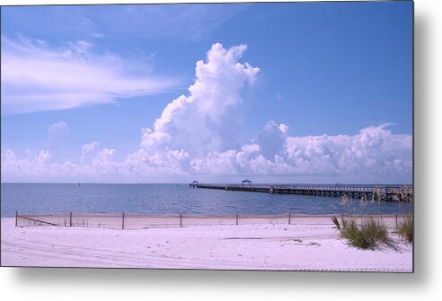 Beach Metal Print featuring the photograph Calming View #1 by Brian Wright