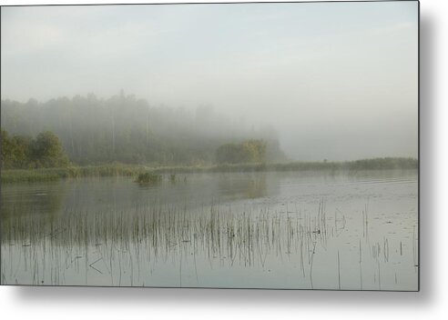 Beauty In Nature Metal Print featuring the photograph Lake Of The Woods, Ontario, Canada View #2 by Keith Levit