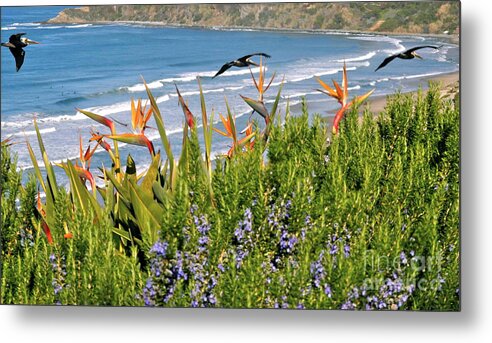 Birds Of Paradise Metal Print featuring the photograph Birds in Paradise by Johanne Peale