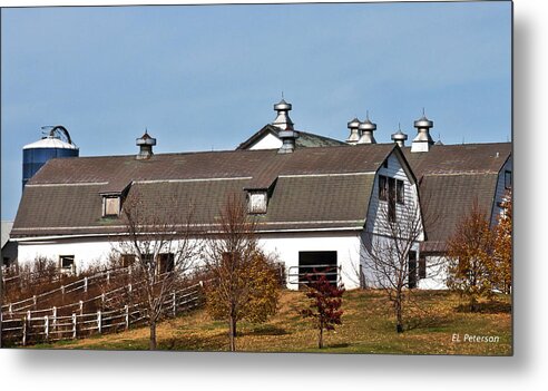 Barns Metal Print featuring the photograph Boys Town Farm by Ed Peterson