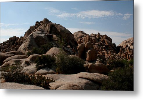 California Metal Print featuring the photograph California Desert by Karen Harrison Brown