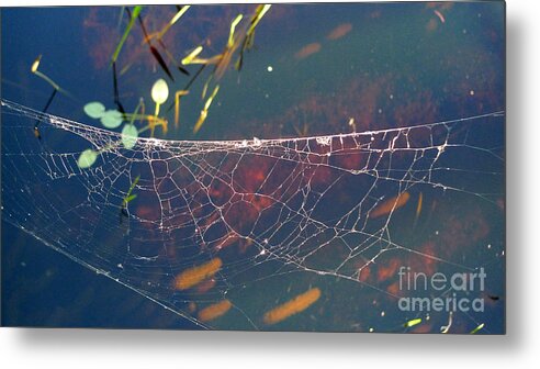 Complexity Metal Print featuring the photograph Complexity of the web by Nina Prommer