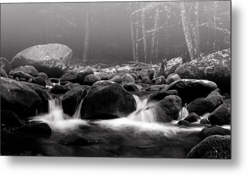 Brook Metal Print featuring the photograph Fog on the Roaring Fork by Ray Kent