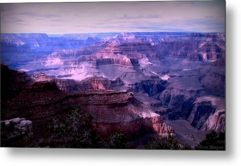 Grand Canyon Metal Print featuring the photograph Grand Canyon Early Evening Light by Aaron Burrows