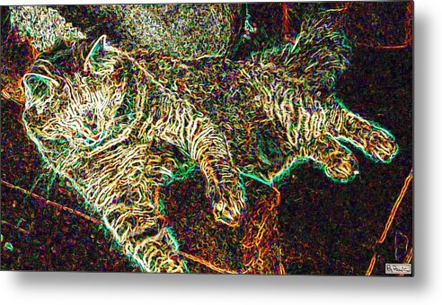 Cat Metal Print featuring the photograph Jeff Reclining by Paula Greenlee