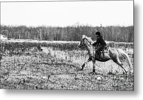 Horse Metal Print featuring the photograph Let Freedom Rein by Traci Cottingham