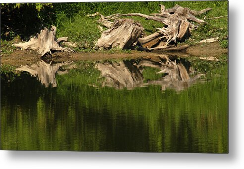 Lake Metal Print featuring the photograph Mirror Images by Wanda Brandon